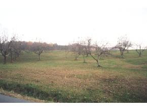Lot #5 Willow Pond Road Unicoi, TN 37692 - Photo 1 of 1 Photo 1