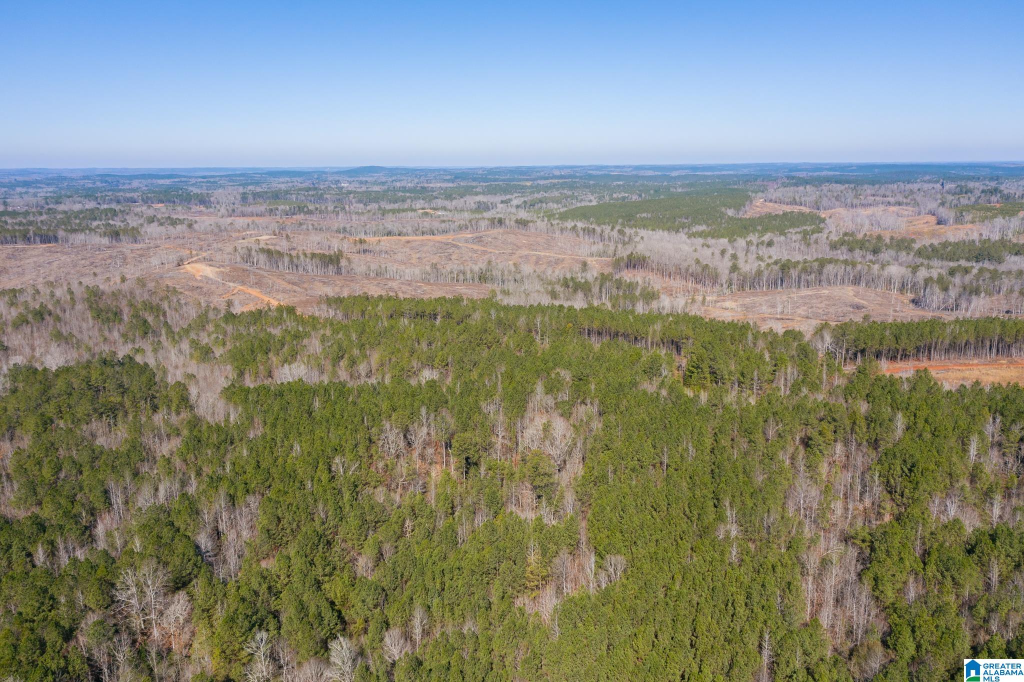 0 Harless Road Northport, AL 35475 - Photo 13 of 34