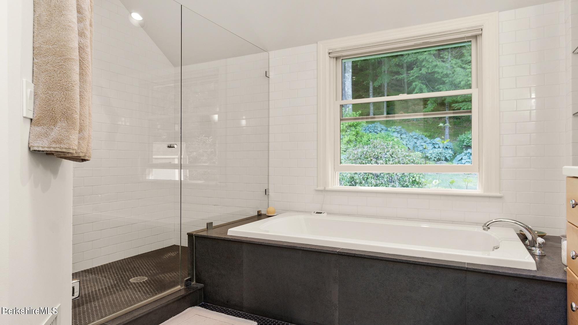 109 Under Mountain Road Lenox, MA 01240 - Photo 14 of 37 Jet tub