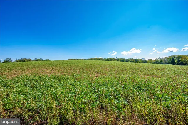 $2,900 | 6774 Linganore Road, Frederick, MD 21701