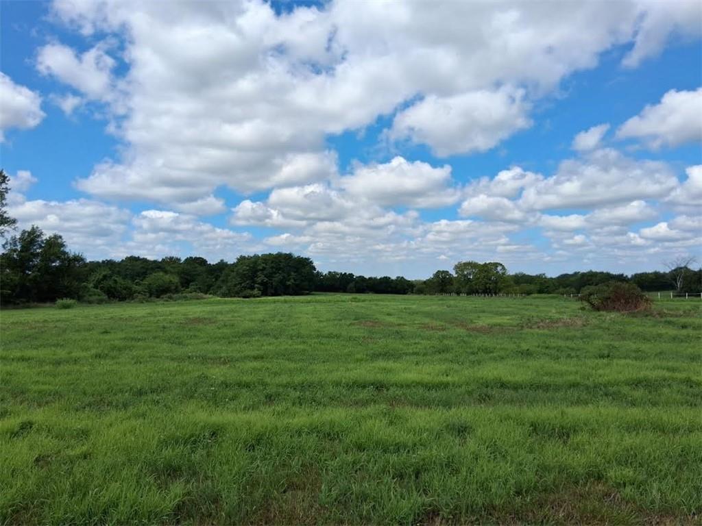 Alley Jackson Road Lee's Summit, MO 64086 - Photo 2 of 4