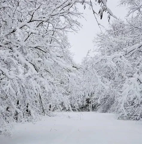 $350,000 | Alley Jackson Road, Lee's Summit, MO 64086