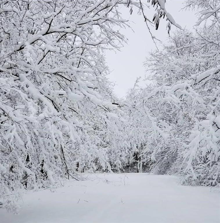Alley Jackson Road Lee's Summit, MO 64086 - Photo 3 of 4