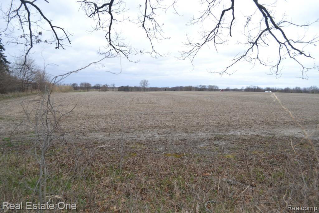 Vacant Ridge Road Goodrich, MI 48438 - Photo 2 of 5