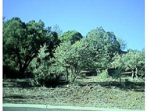 0 Deer Run Road Prescott, AZ 86303 - Photo 1 of 5 Primary Photo