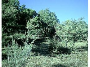 0 Deer Run Road Prescott, AZ 86303 - Photo 2 of 5 Additional Photo