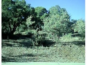 0 Deer Run Road Prescott, AZ 86303 - Photo 3 of 5 Additional Photo