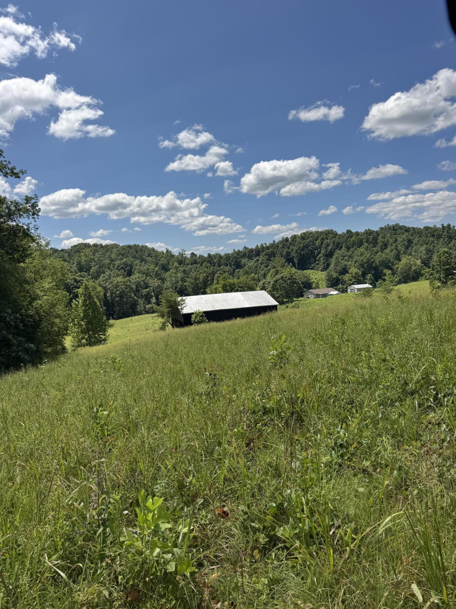256 Calaboose-Rocky Branch Road Campton, KY 41301 - Photo 10 of 44 IMG_5613