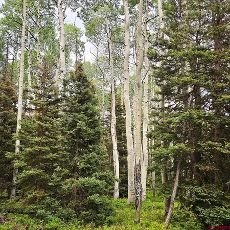 a view of outdoor space
