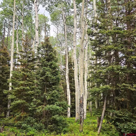 a view of outdoor space