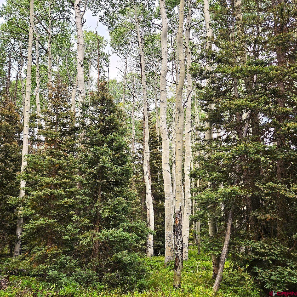 a view of outdoor space