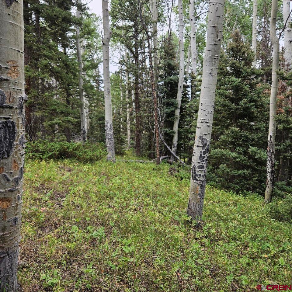 390 Rim Road Cimarron, CO 81220 - Photo 12 of 13 a view of outdoor space and garden