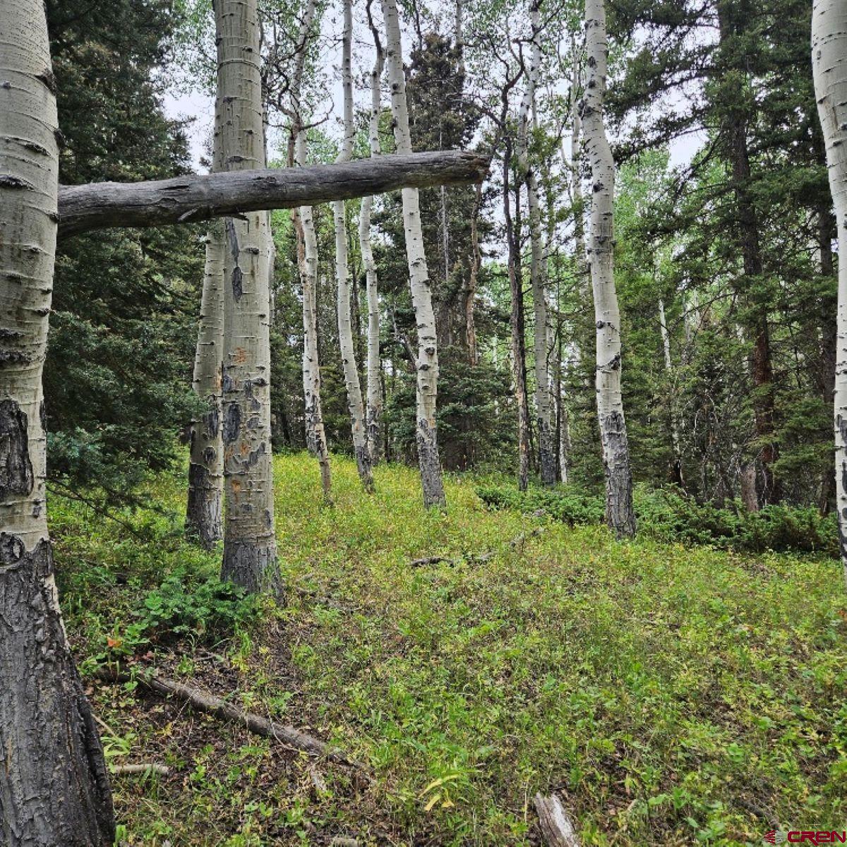 390 Rim Road Cimarron, CO 81220 - Photo 7 of 13 a view of outdoor space with deck and yard