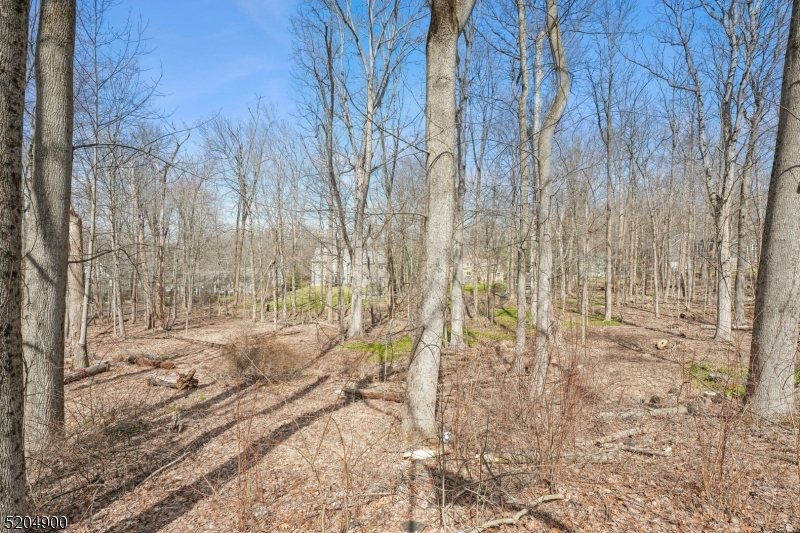 31 Branko Road Berkeley Heights, NJ 07922 - Photo 34 of 35