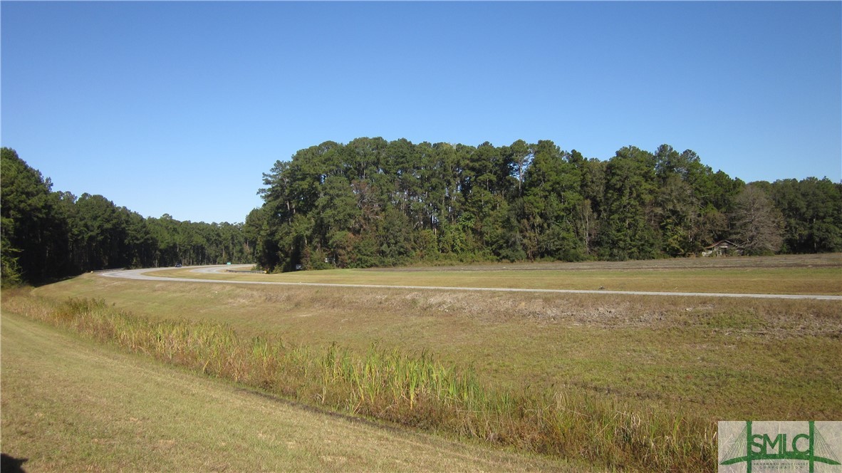 0 21st Highway Springfield, GA 31329 - Photo 1 of 5 Gallery Image 1