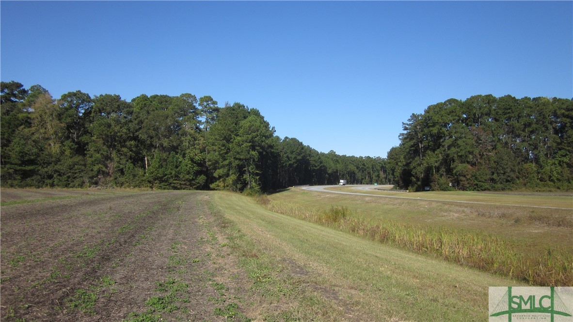 0 21st Highway Springfield, GA 31329 - Photo 5 of 5 Gallery Image 5