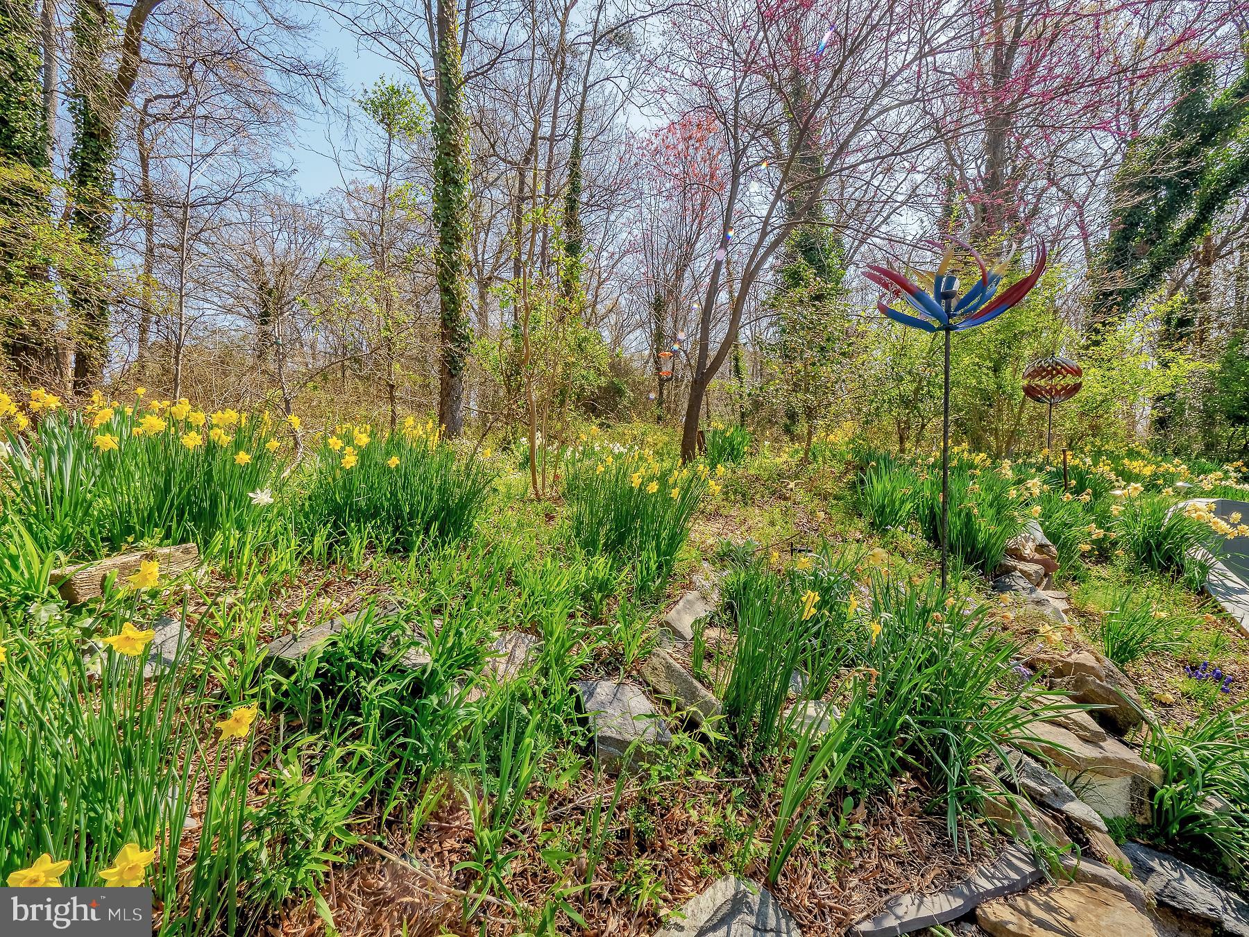 119 Lakeside Drive Greenbelt, MD 20770 - Photo 34 of 44