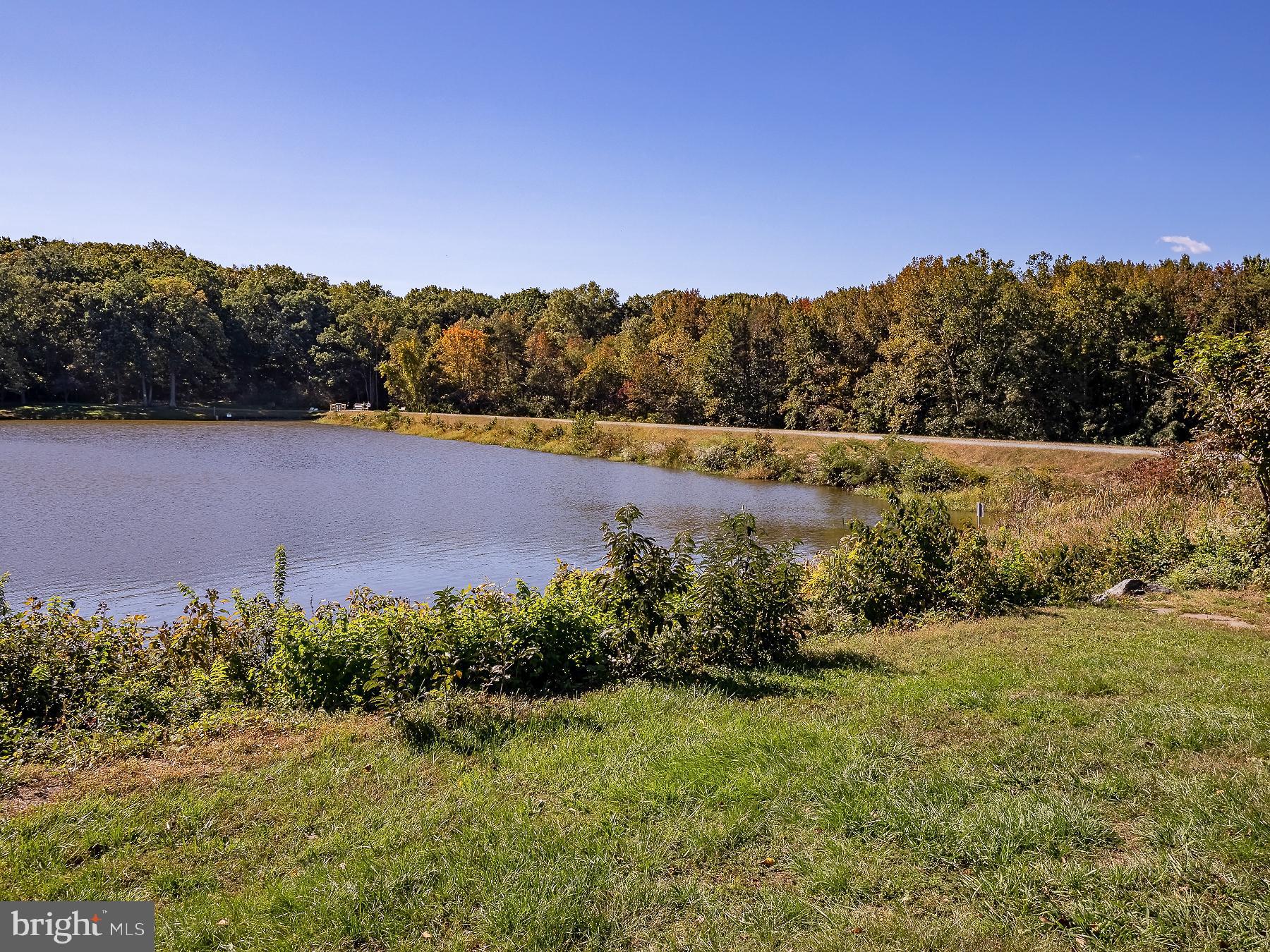 119 Lakeside Drive Greenbelt, MD 20770 - Photo 39 of 44