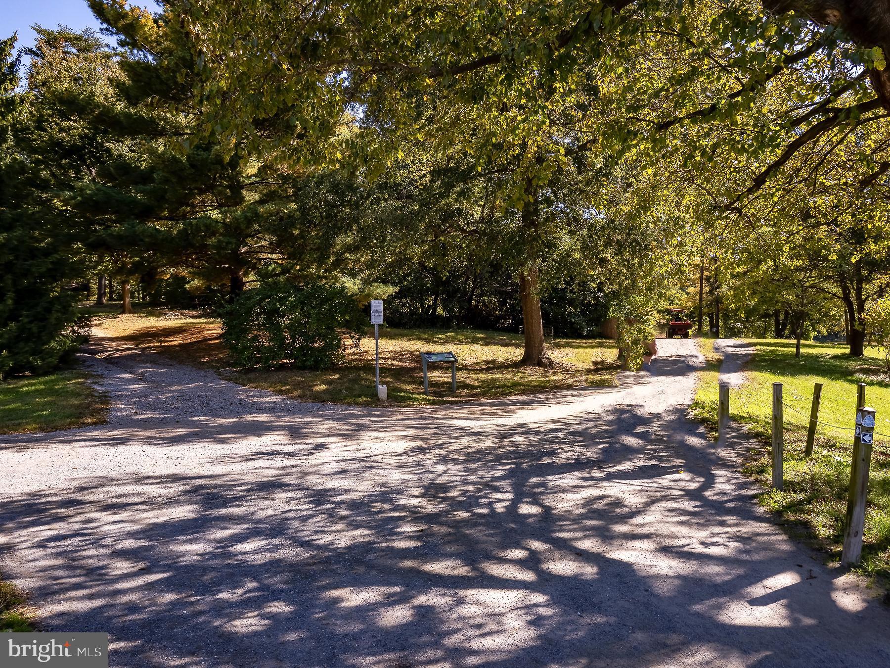 119 Lakeside Drive Greenbelt, MD 20770 - Photo 41 of 44