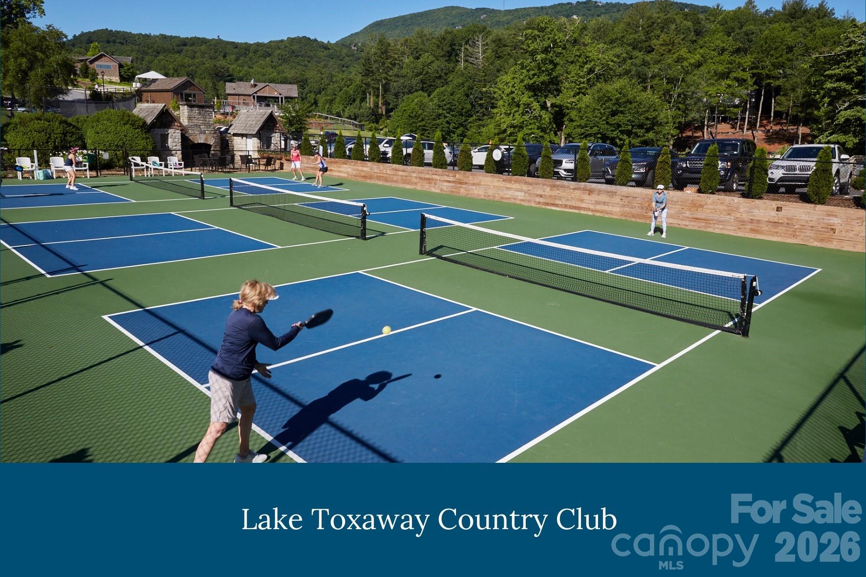 562 Panther Ridge Road Lake Toxaway, NC 28747 - Photo 45 of 47 Gallery Image 45