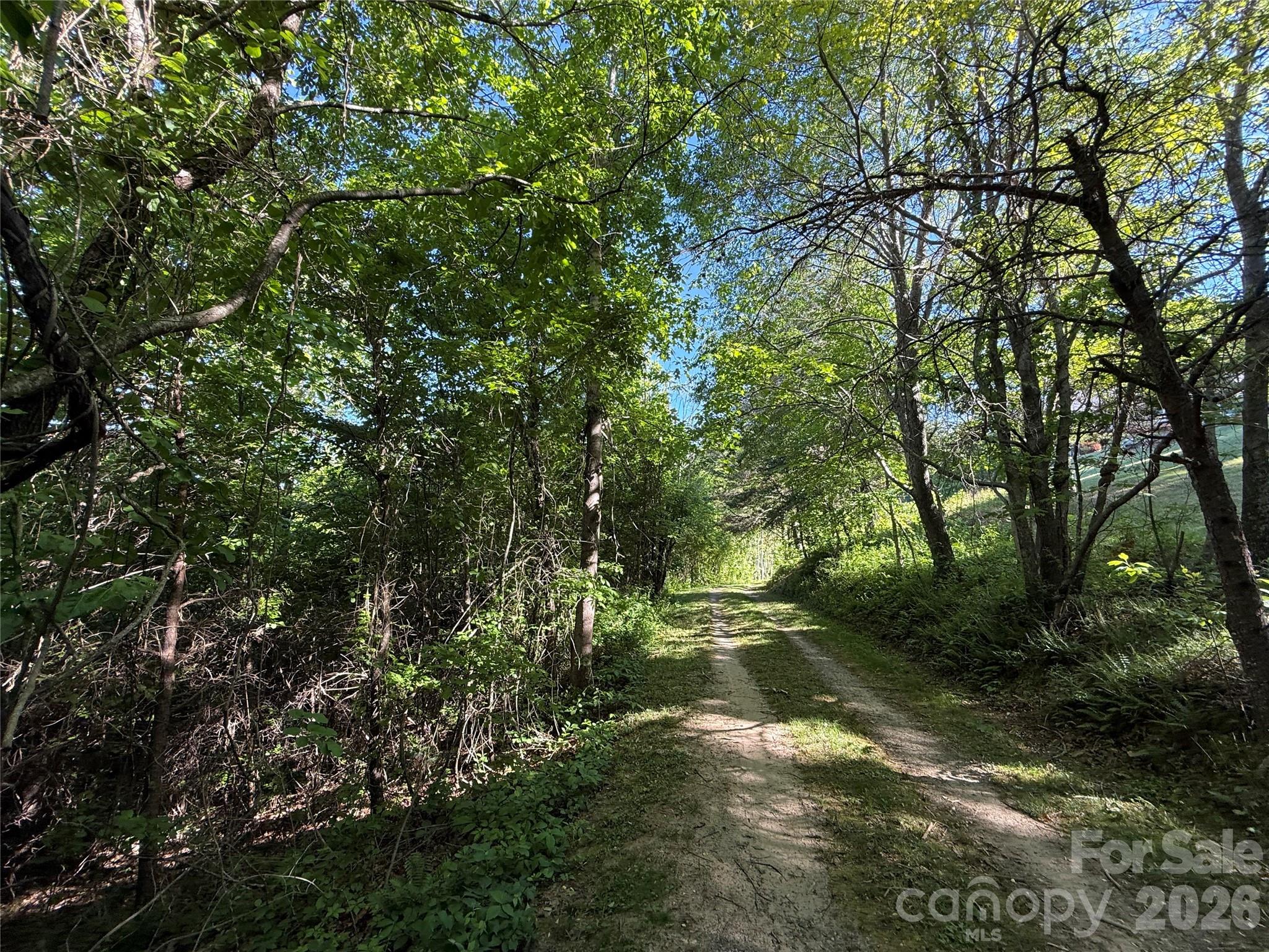 9999 Hunters Ridge Road Canton, NC 28716 - Photo 15 of 19