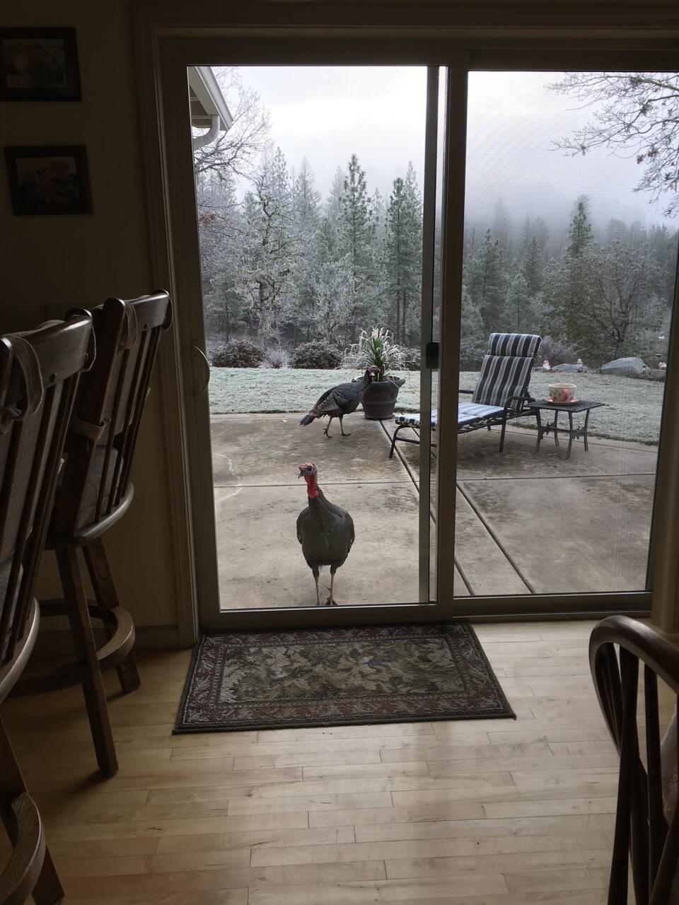 726 Busch Road Trail, OR 97541 - Photo 70 of 71 Wildlife