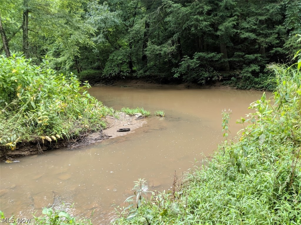 Stone Bridge Road Harrisville, WV 26362 - Photo 8 of 8