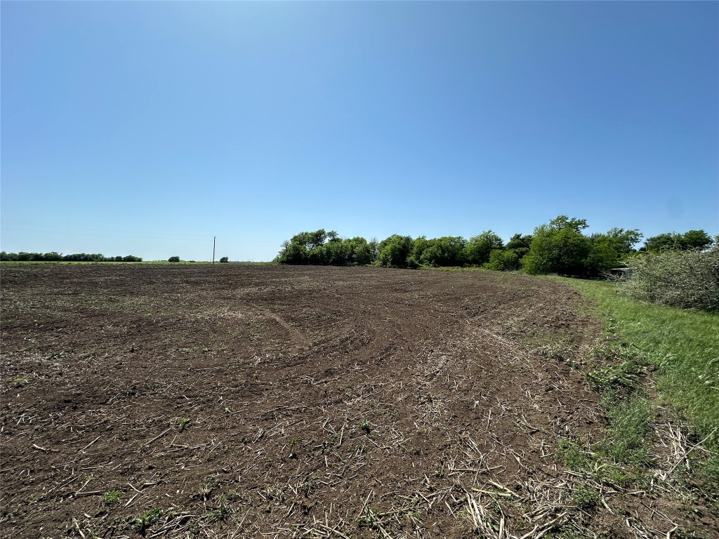 8500 North Fork Road Bartlett, TX 76511 - Photo 17 of 25 a view of a field with trees in background