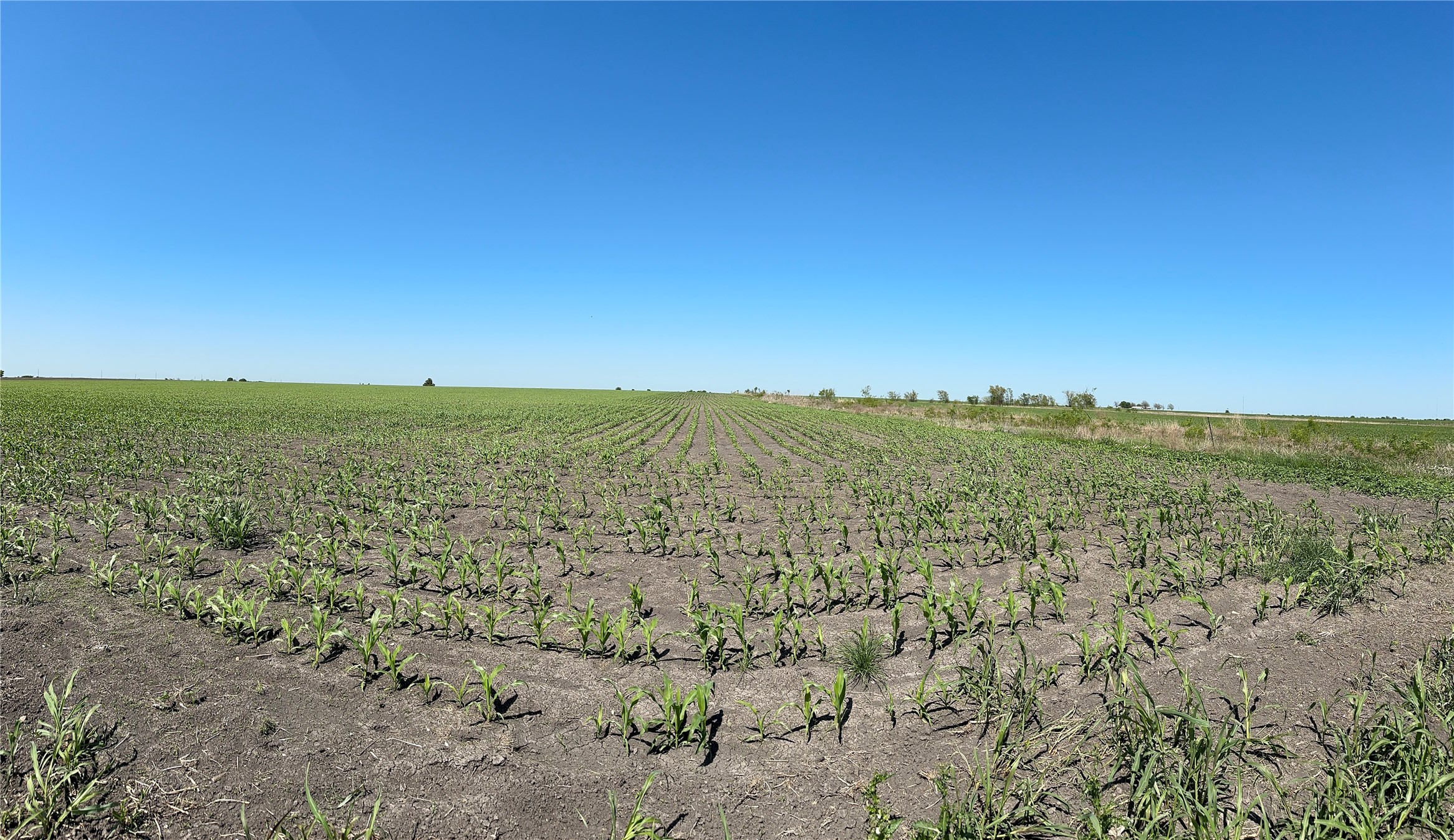 8500 North Fork Road Bartlett, TX 76511 - Photo 18 of 25 a view of a field with an ocean