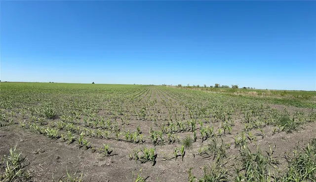 a view of a lake with a big yard
