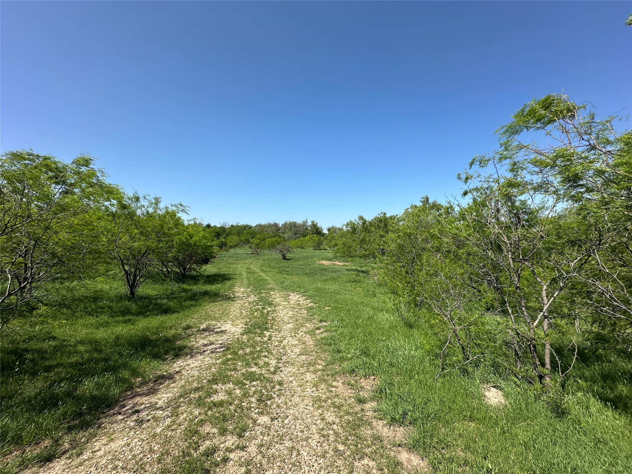 8500 North Fork Road Bartlett, TX 76511 - Photo 21 of 25 a view of a green field with lots of bushes