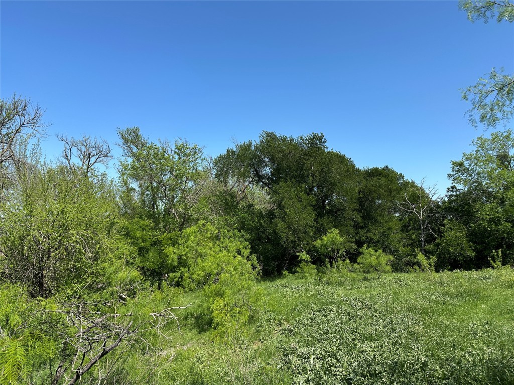 8500 North Fork Road Bartlett, TX 76511 - Photo 23 of 25 a view of a garden