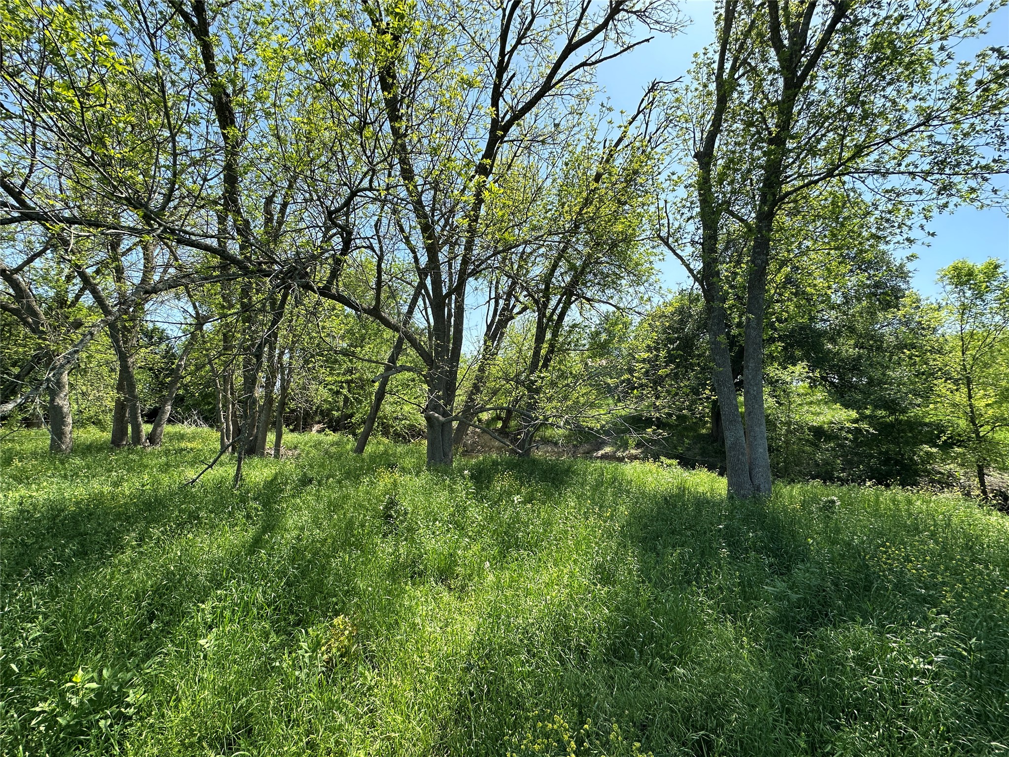 8500 North Fork Road Bartlett, TX 76511 - Photo 24 of 25 a view of backyard with green space