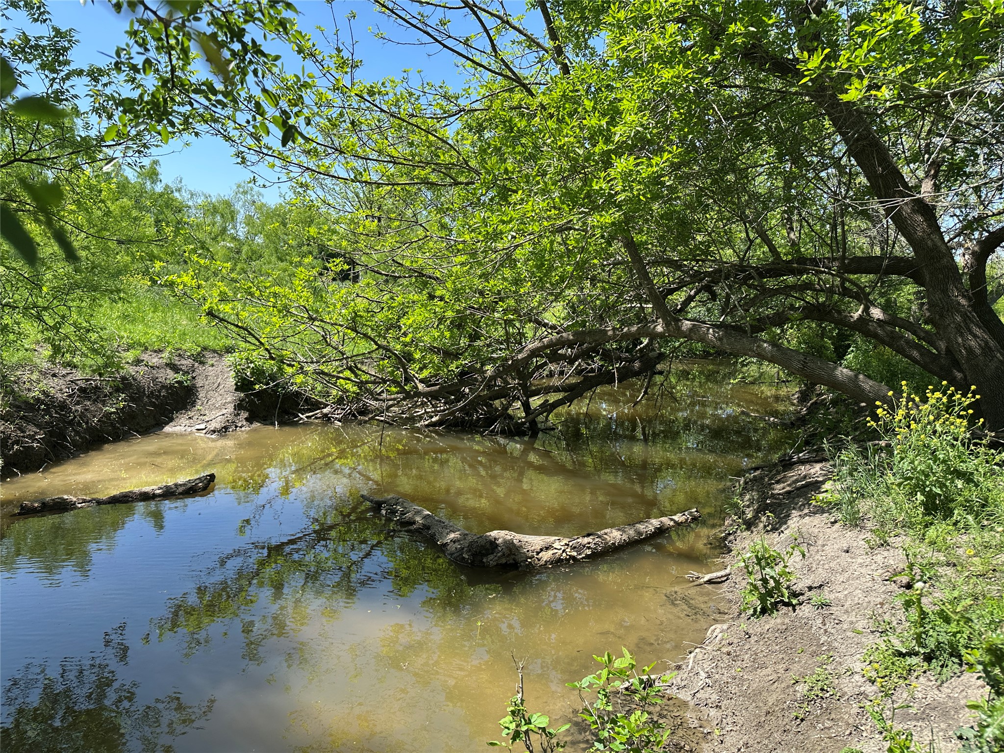8500 North Fork Road Bartlett, TX 76511 - Photo 5 of 25 a view of lake with green space