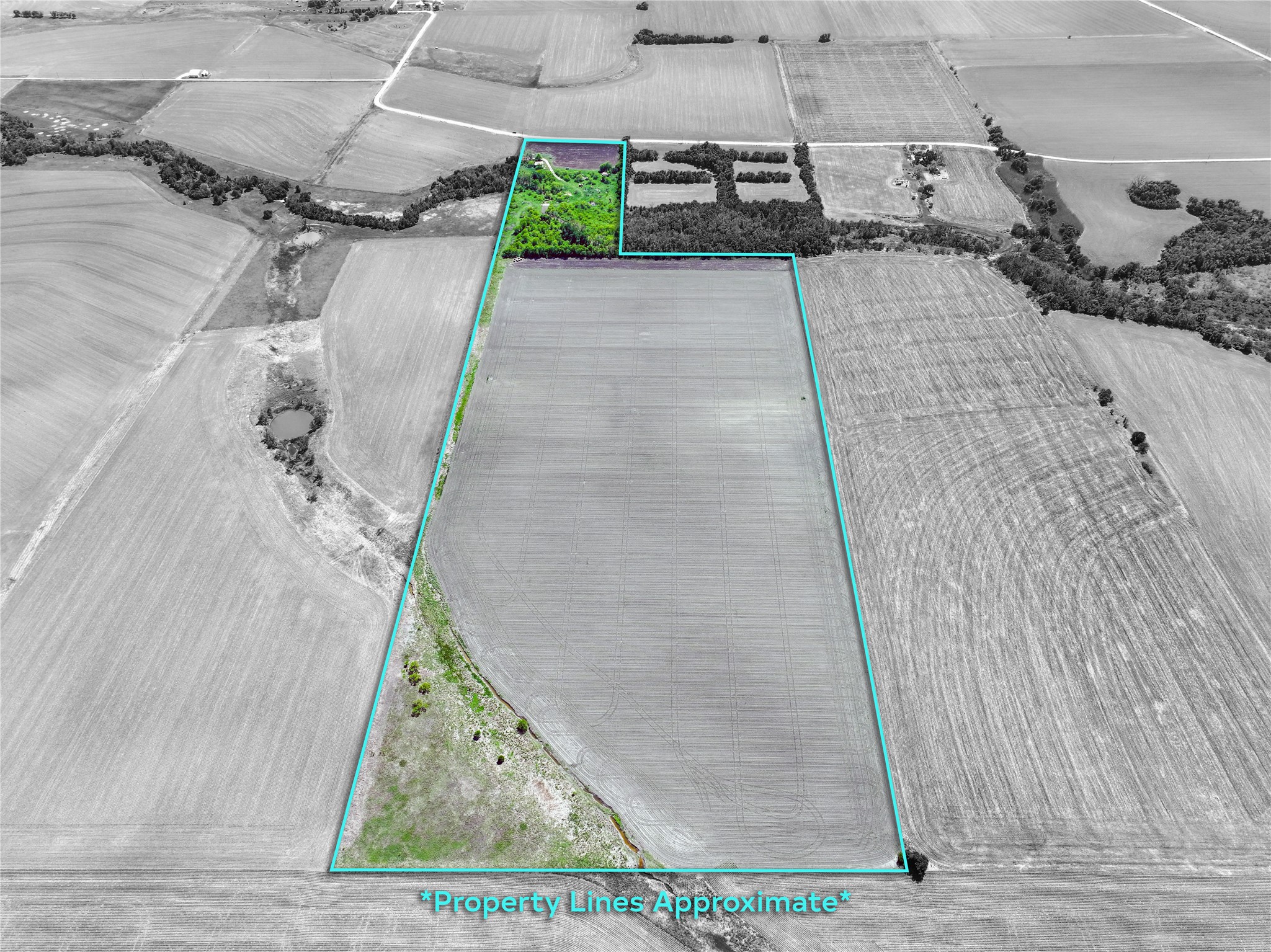 8500 North Fork Road Bartlett, TX 76511 - Photo 6 of 25