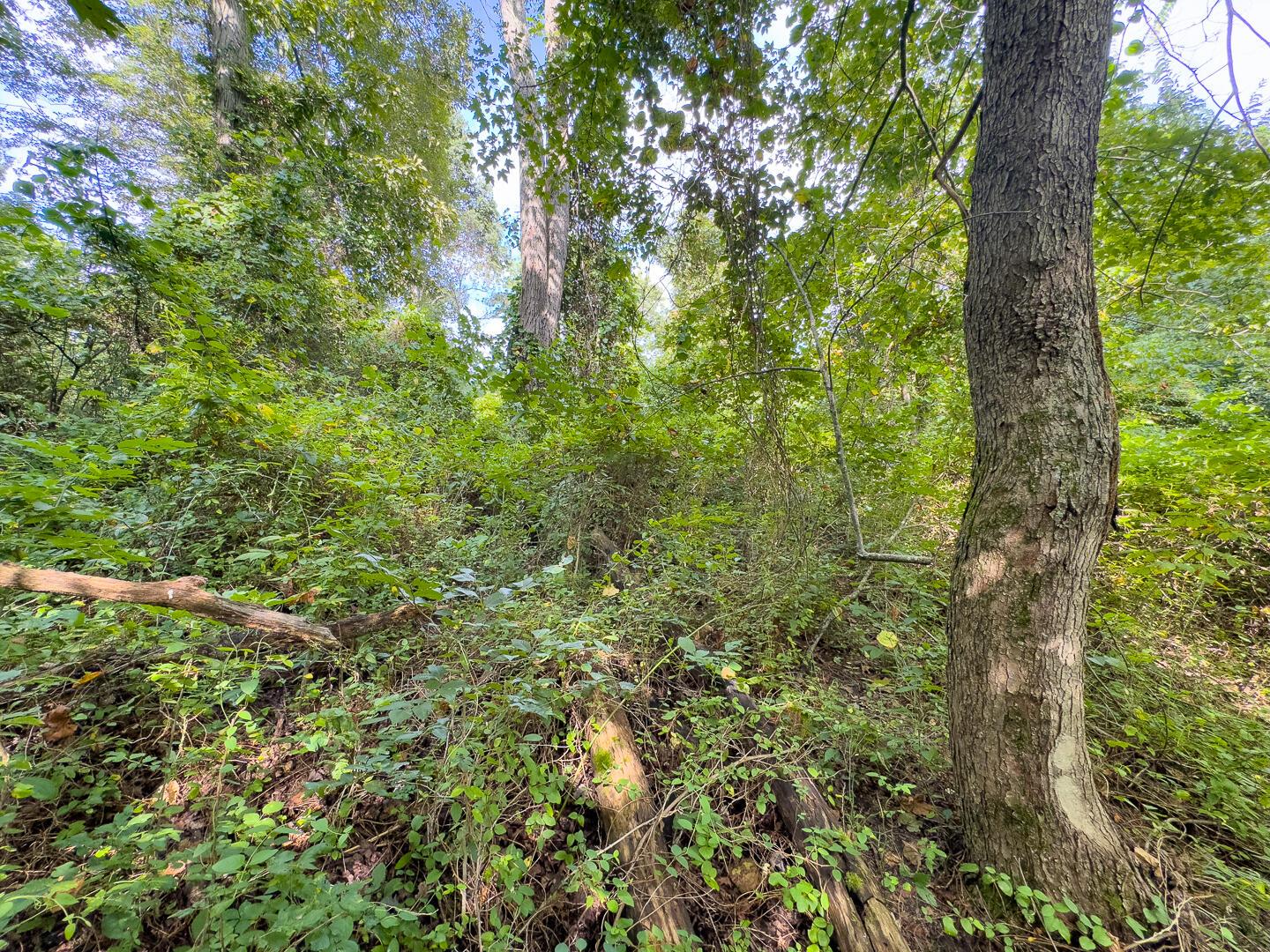 0 East Sand Ridge Road, Unit 338 Albany, OH 45710 - Photo 22 of 30 22-0 Sand Ridge Rd Ground-16