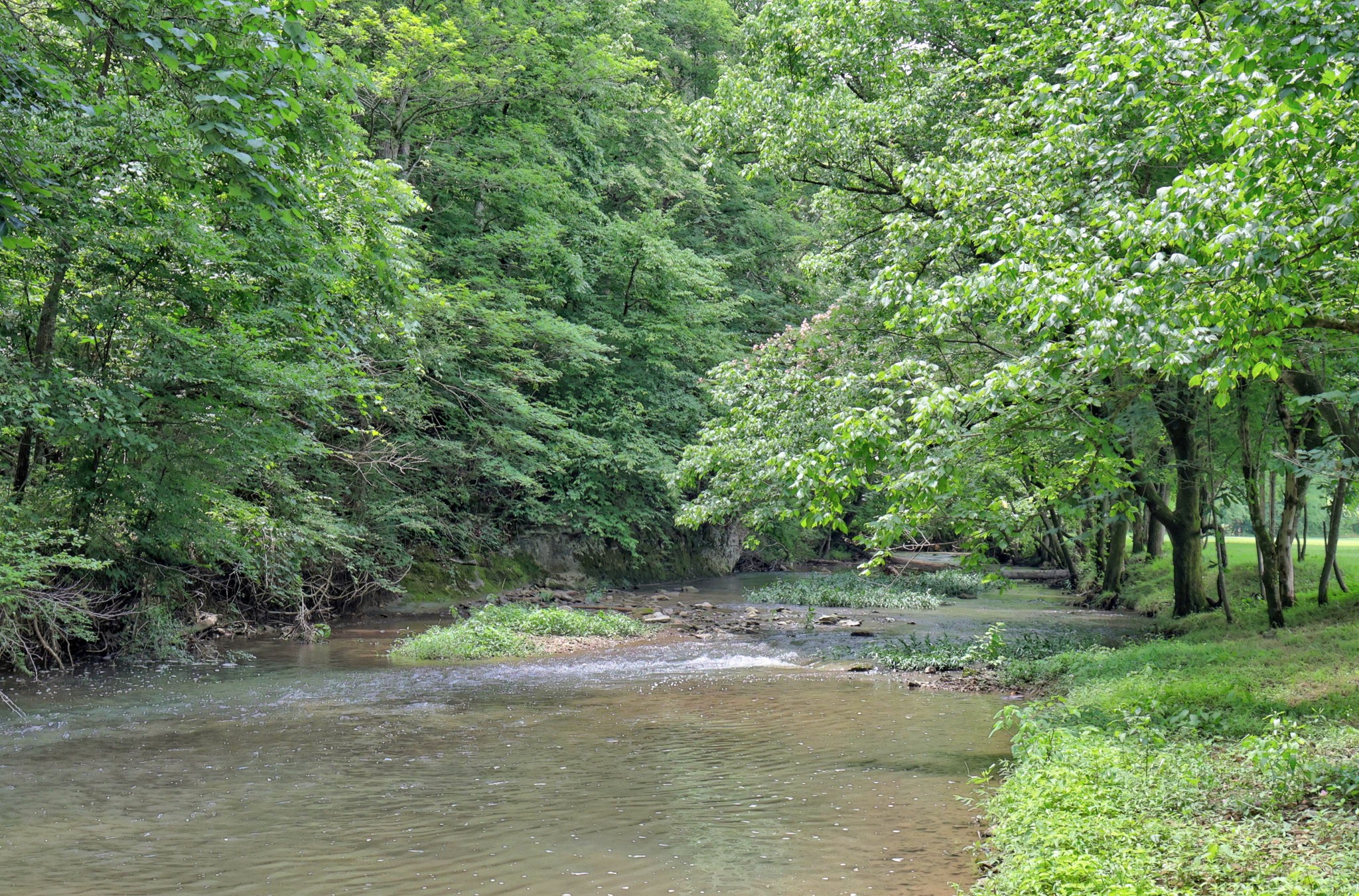 1213 Rock Church Road Dickson, TN 37055 - Photo 68 of 72