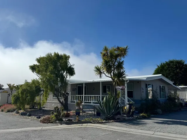 a front view of a house with a yard and tree s
