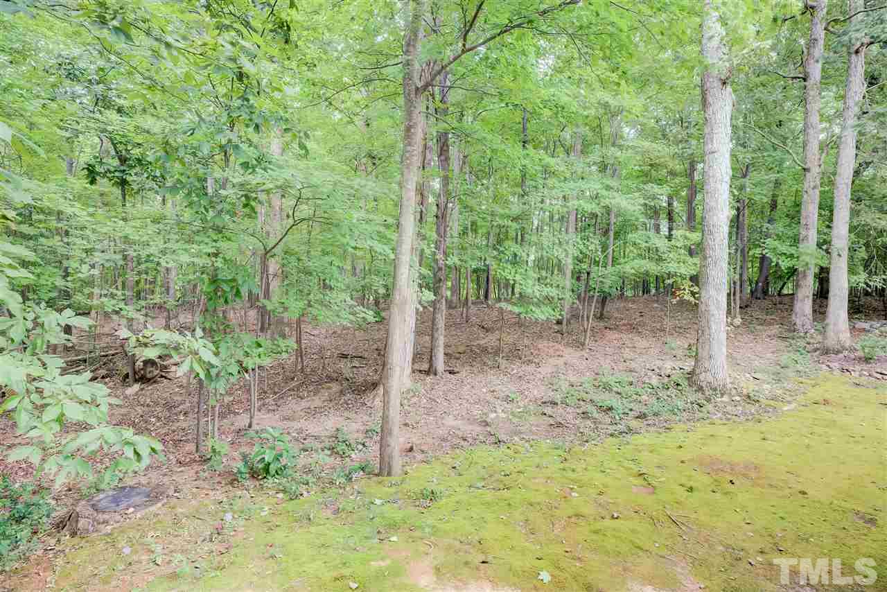 10305 Dapping Drive Raleigh, NC 27614 - Photo 28 of 30 a view of a forest with trees
