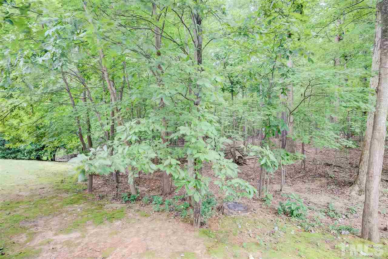 10305 Dapping Drive Raleigh, NC 27614 - Photo 29 of 30 a view of a plants with a yard