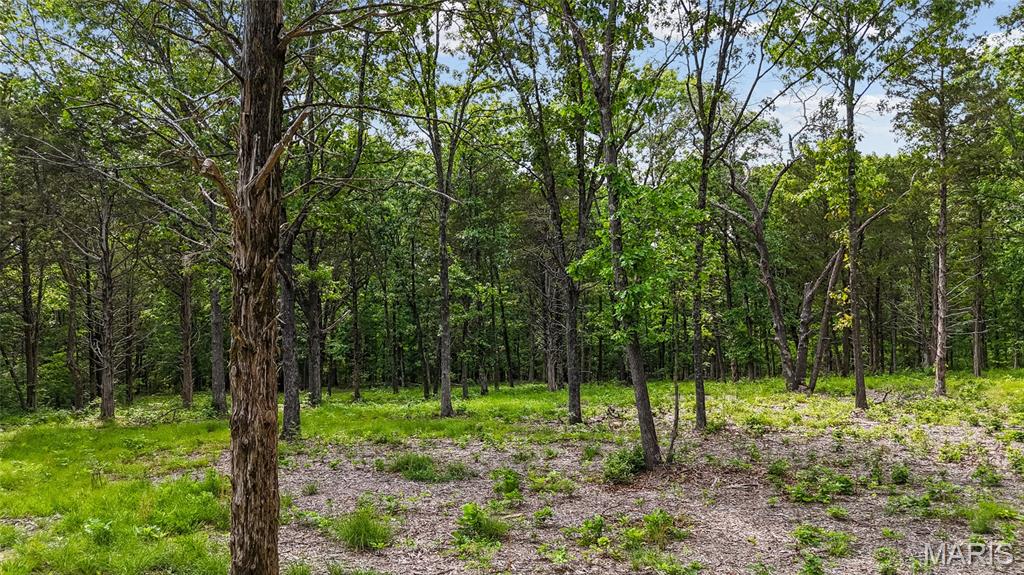 299 Whitetail Ridge Dittmer, MO 63023 - Photo 7 of 19