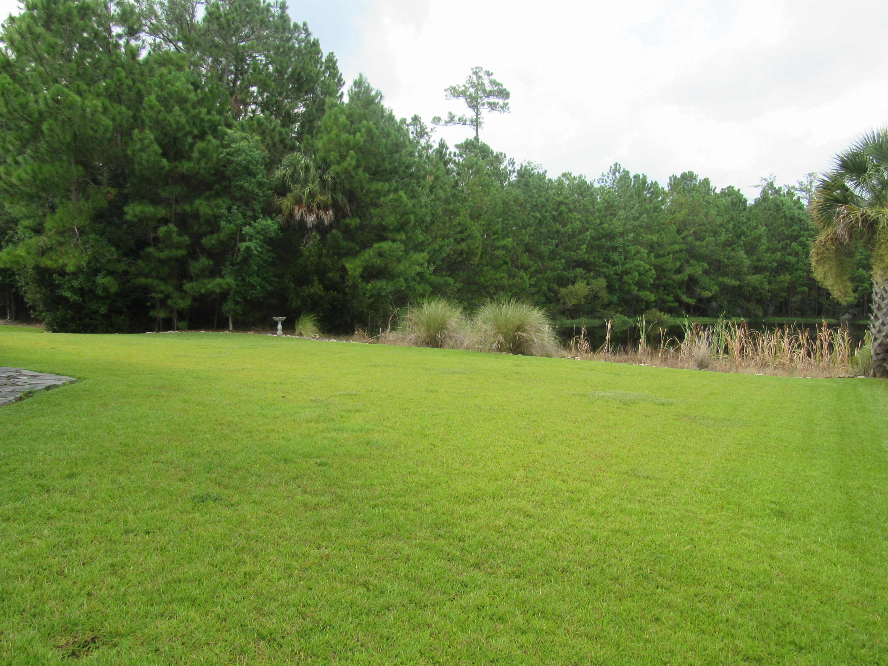 2409 Bending Oak Loop Mount Pleasant, SC 29466 - Photo 5 of 33 Gorgeous backyard