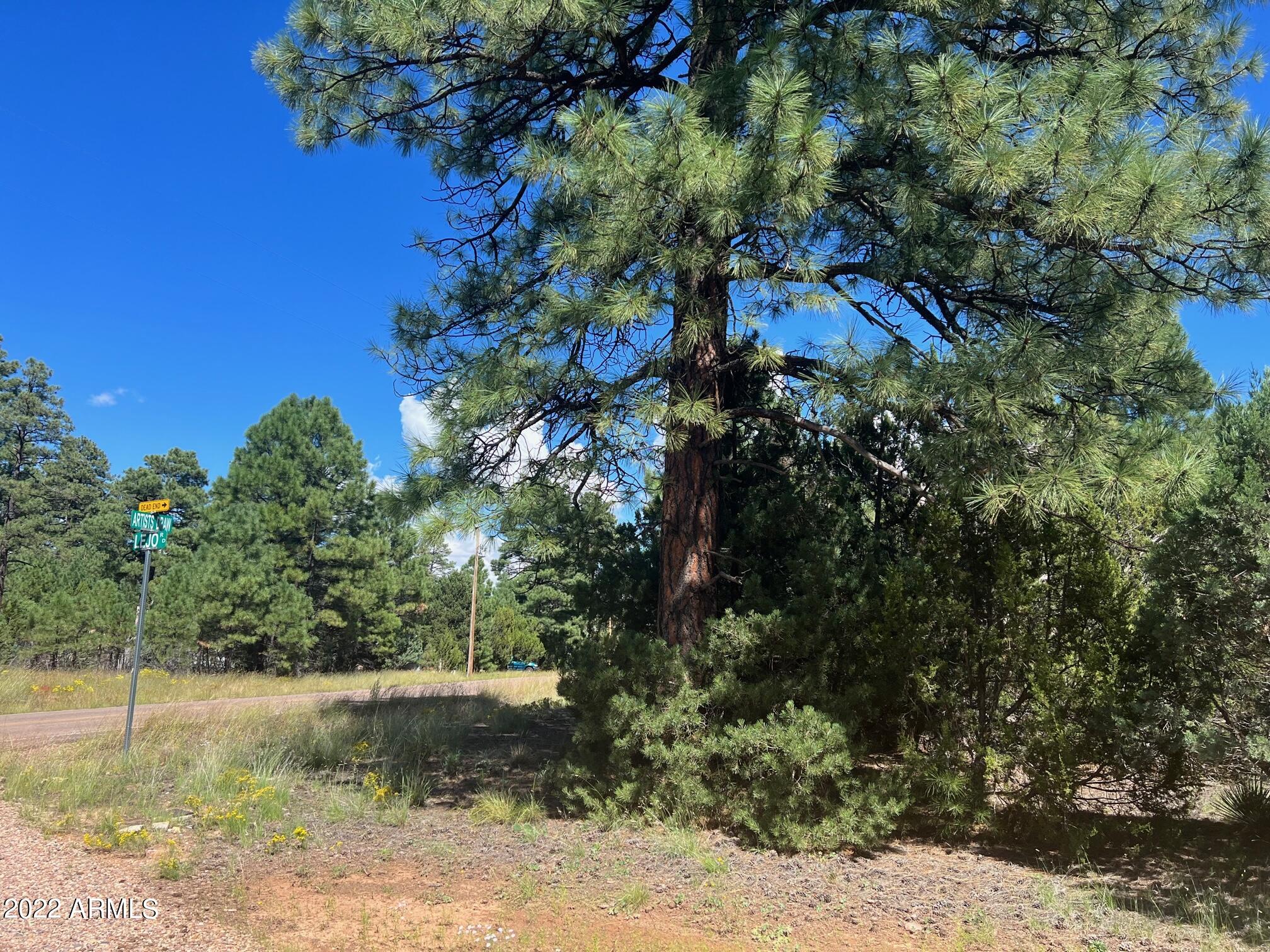 2899 Lejo Road Overgaard, AZ 85933 - Photo 13 of 13 2899 Lejo Rd.