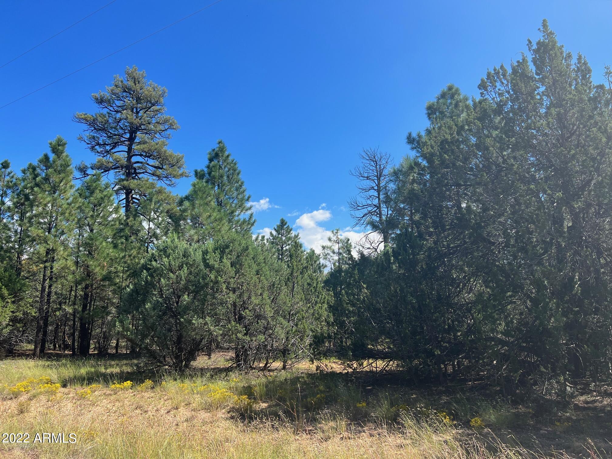 2899 Lejo Road Overgaard, AZ 85933 - Photo 6 of 13 2899 Lejo Rd.