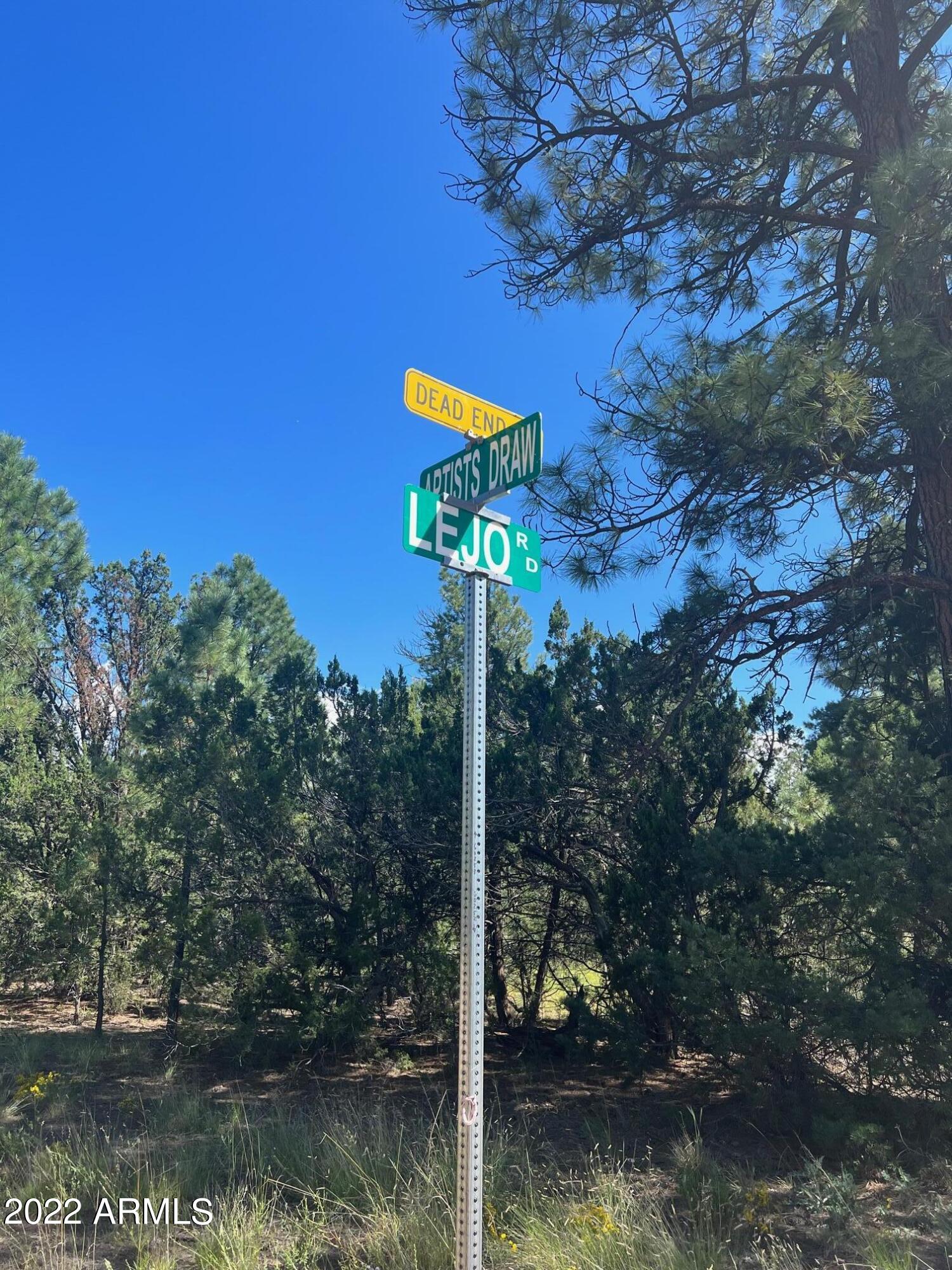 2899 Lejo Road Overgaard, AZ 85933 - Photo 10 of 13 2899 Lejo Rd.