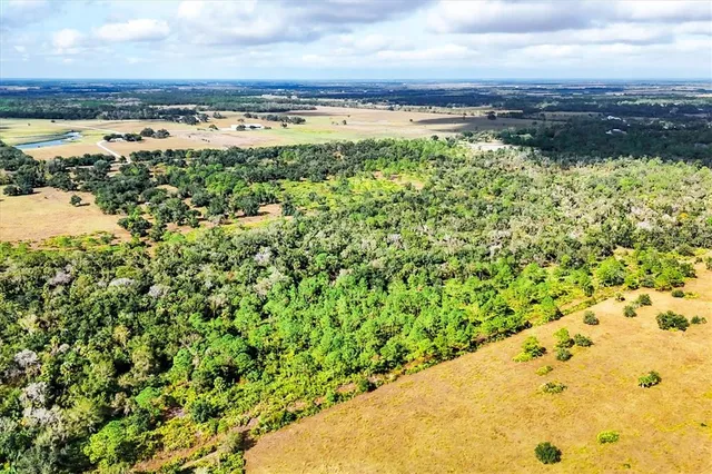 a view of a large yard with lots of green space