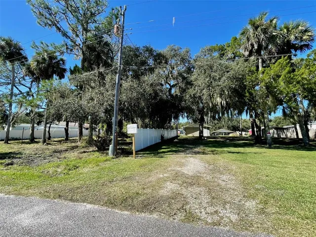 a view of a park with large trees