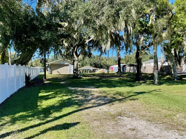a view of a park with large trees