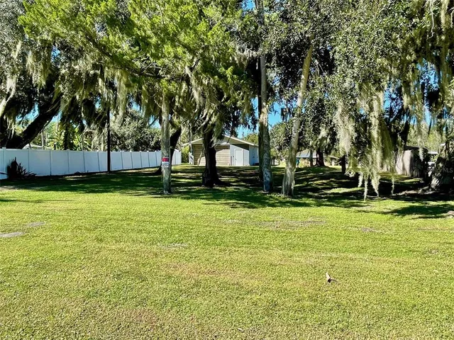 a view of a backyard with large trees