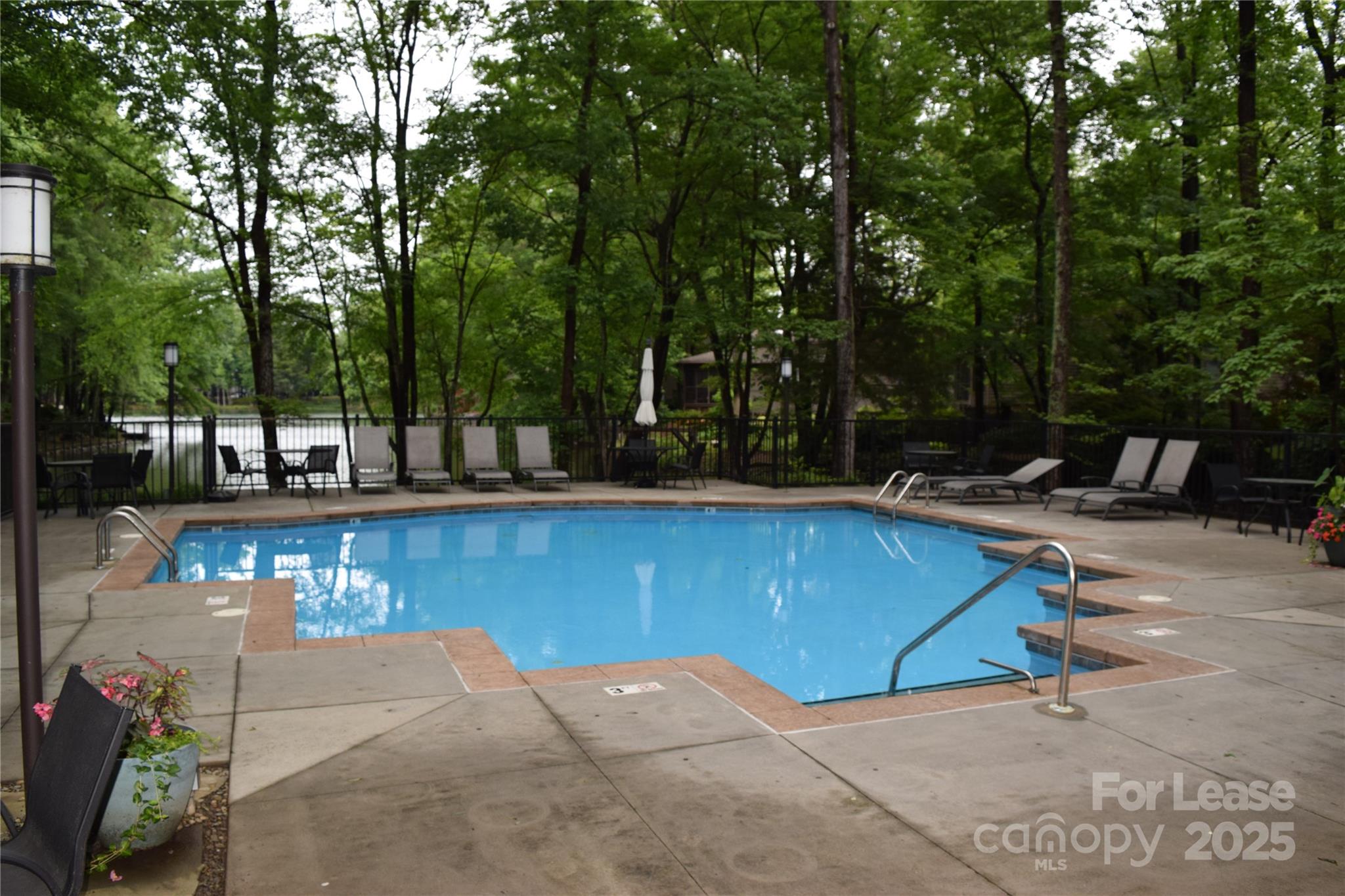 449 Windward Drive Davidson, NC 28036 - Photo 44 of 46 a view of outdoor space with seating area and trees around